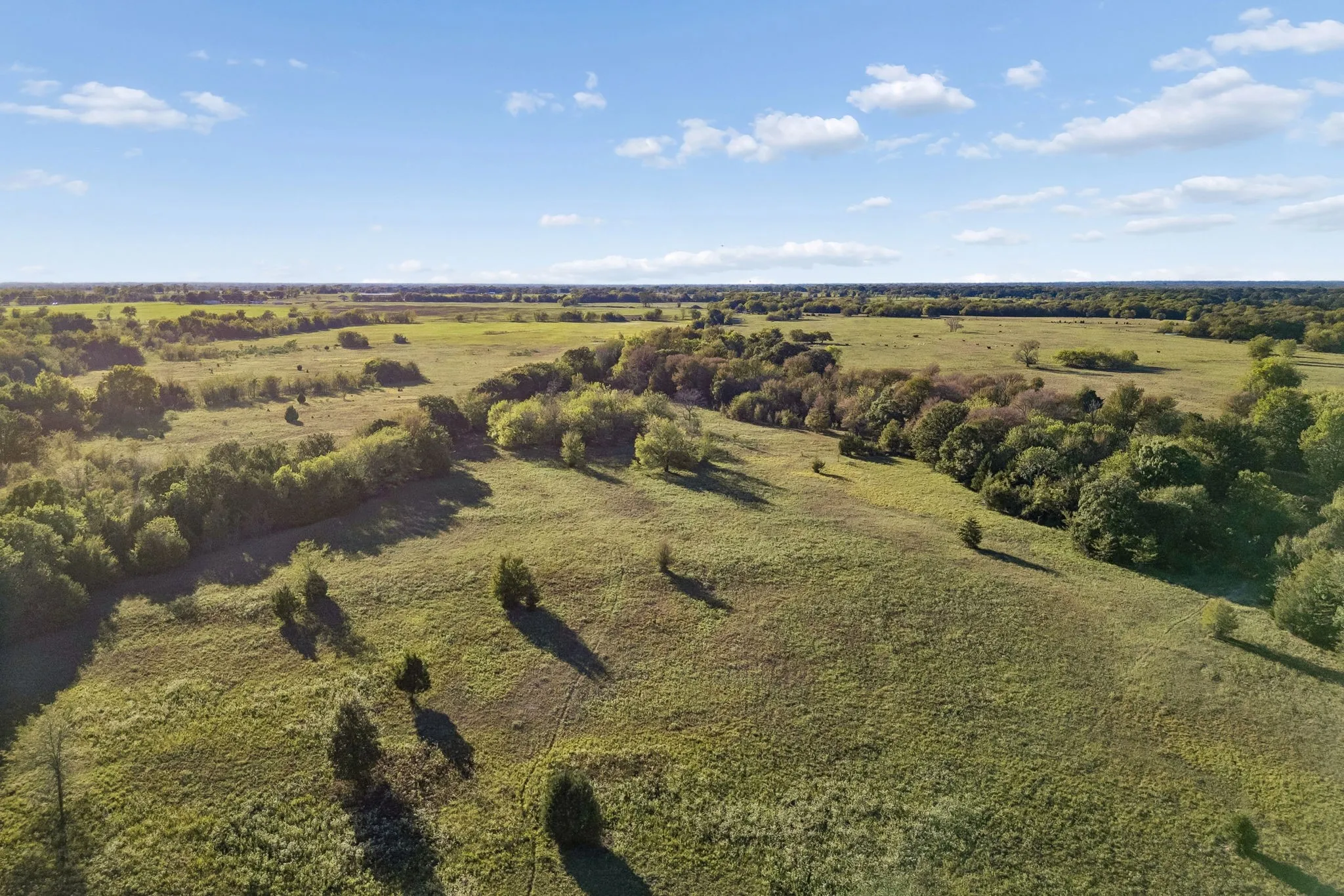 Improved Land For Sale in Rains County , TBD RS County Road 4310, Point, Texas 75472, 0, 0, Garage spaces, 0 Sqft, built in 0, mls#21405478, Real Estate Agent in Point, Homes For Sale in Rains county, Homes For Sale in Point, Realtor in Point Texas, Real Estate Brokerage Independent Realty Texas, Luminita Cordes Realtor