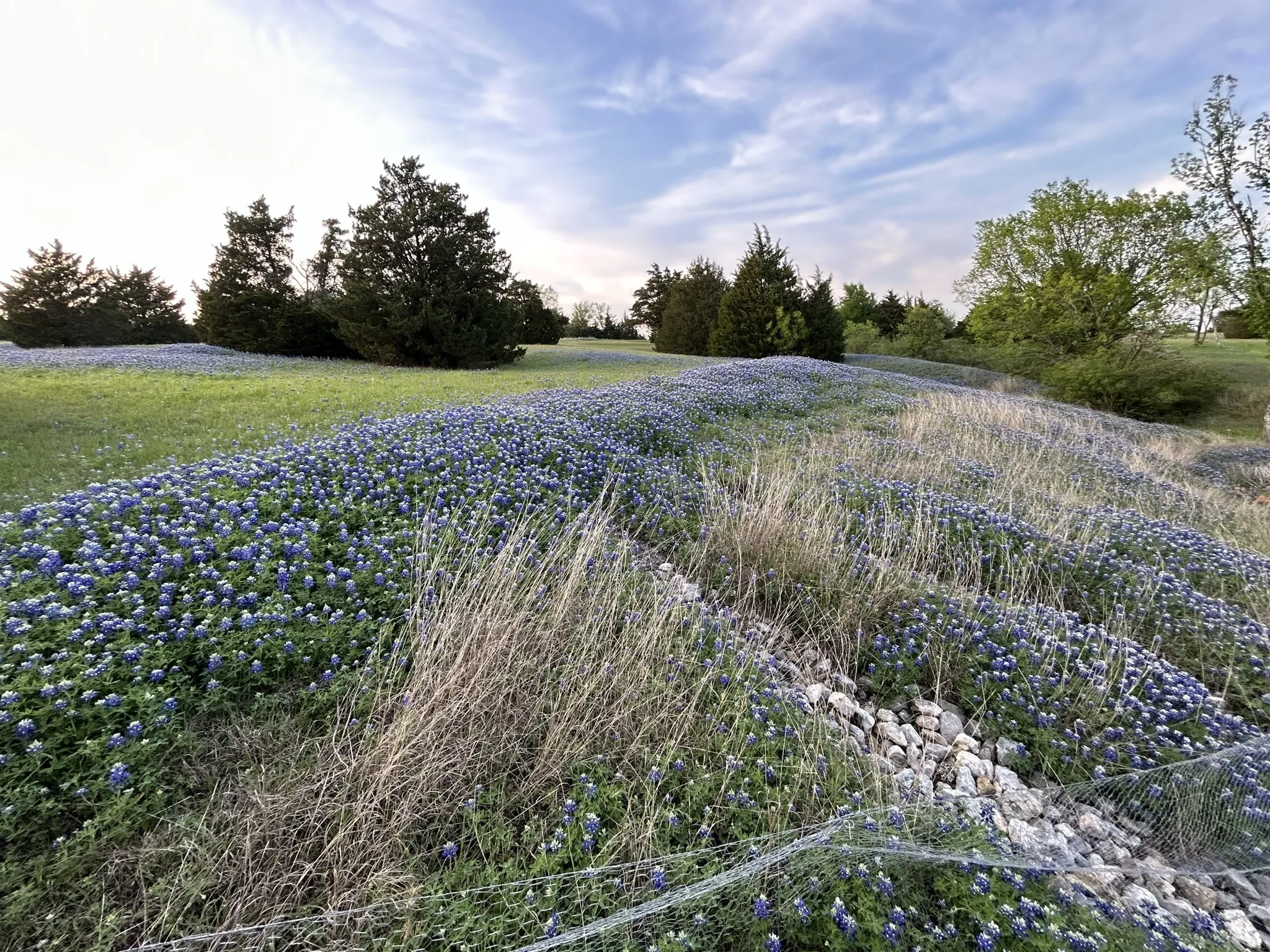 Unimproved Land For Sale in Ellis County , 1425 Palmyra, Palmer, Texas 75152, 0, 0, Garage spaces, 0 Sqft, built in 0, mls#21397414, Real Estate Agent in Palmer, Homes For Sale in Ellis county, Homes For Sale in Palmer, Realtor in Palmer Texas, Real Estate Brokerage Independent Realty Texas, Luminita Cordes Realtor