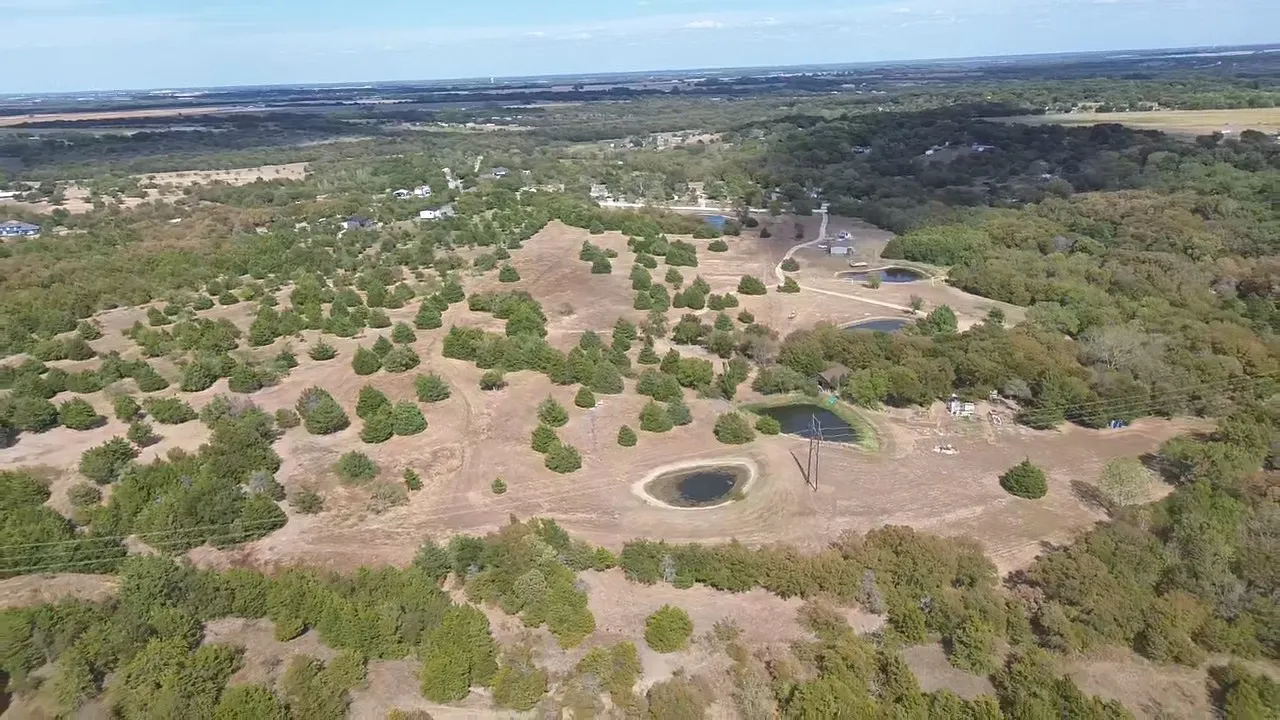 Unimproved Land For Sale in Ellis County , 1425 Palmyra, Palmer, Texas 75152, 0, 0, Garage spaces, 0 Sqft, built in 0, mls#21397414, Real Estate Agent in Palmer, Homes For Sale in Ellis county, Homes For Sale in Palmer, Realtor in Palmer Texas, Real Estate Brokerage Independent Realty Texas, Luminita Cordes Realtor