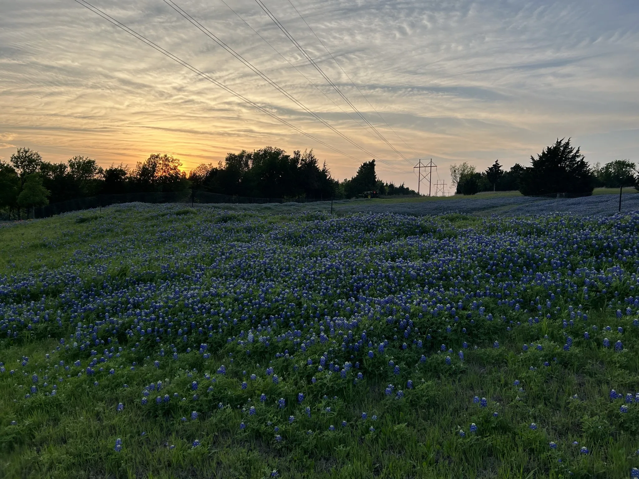 Unimproved Land For Sale in Ellis County , 1425 Palmyra, Palmer, Texas 75152, 0, 0, Garage spaces, 0 Sqft, built in 0, mls#21397414, Real Estate Agent in Palmer, Homes For Sale in Ellis county, Homes For Sale in Palmer, Realtor in Palmer Texas, Real Estate Brokerage Independent Realty Texas, Luminita Cordes Realtor