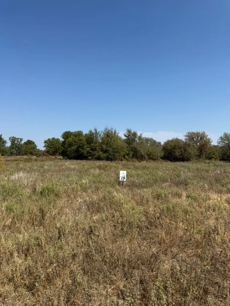 Unimproved Land For Sale in Jack County , LOT 28 Fm 1810, Chico, Texas 76458, 0, 0, Garage spaces, 0 Sqft, built in 0, mls#21405293, Real Estate Agent in Chico, Homes For Sale in Jack county, Homes For Sale in Chico, Realtor in Chico Texas, Real Estate Brokerage Independent Realty Texas, Luminita Cordes Realtor
