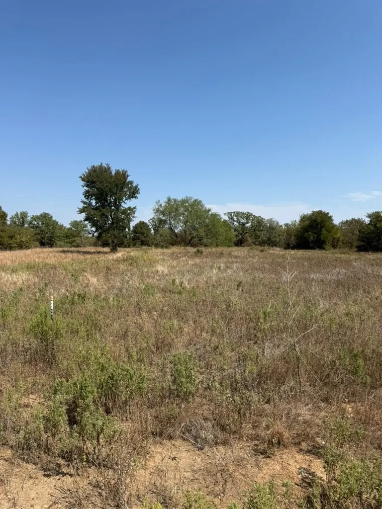 Unimproved Land For Sale in Jack County , LOT 28 Fm 1810, Chico, Texas 76458, 0, 0, Garage spaces, 0 Sqft, built in 0, mls#21405293, Real Estate Agent in Chico, Homes For Sale in Jack county, Homes For Sale in Chico, Realtor in Chico Texas, Real Estate Brokerage Independent Realty Texas, Luminita Cordes Realtor