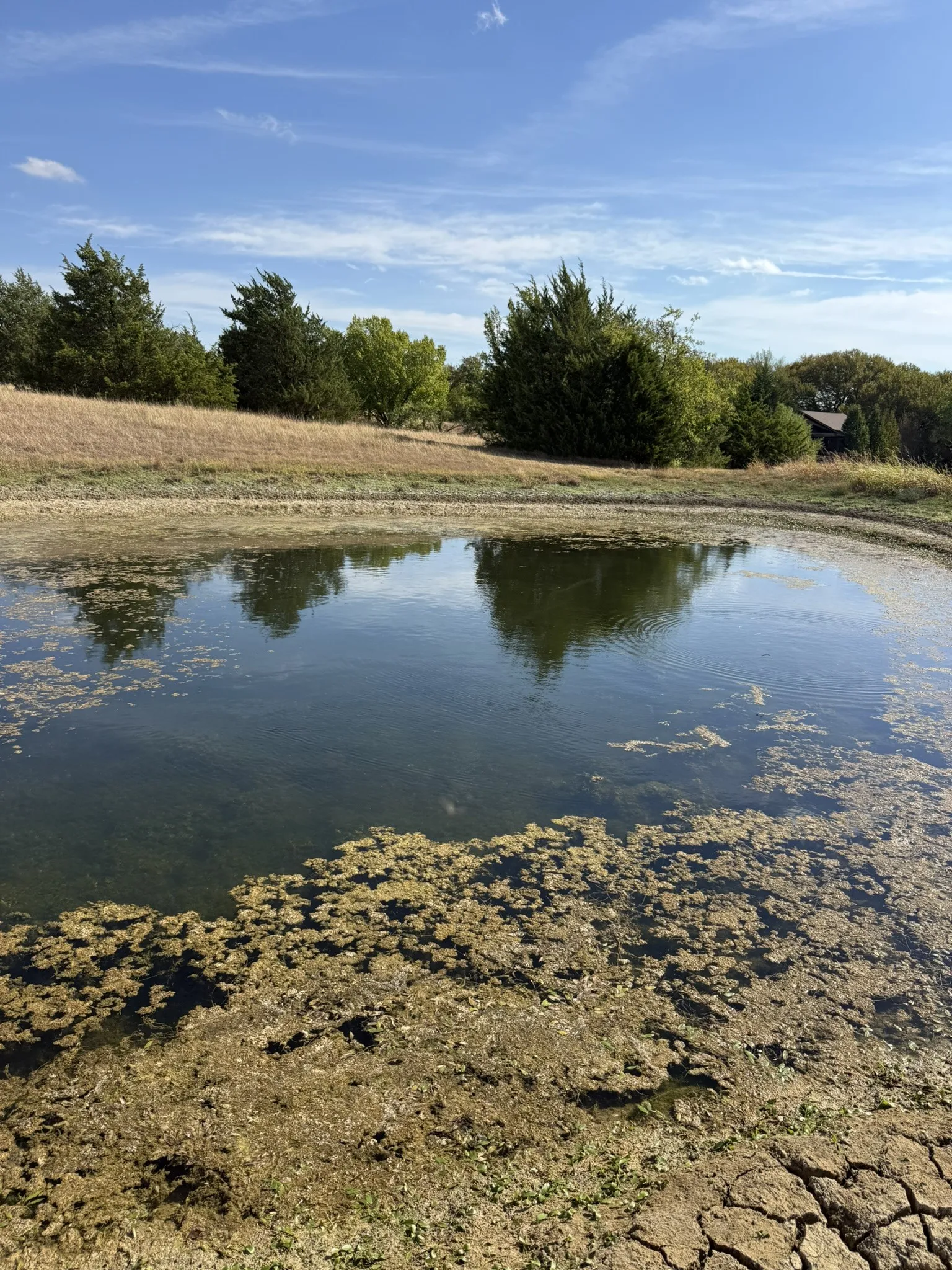 Unimproved Land For Sale in Ellis County , TBD 12 Palmyra, Palmer, Texas 75152, 0, 0, Garage spaces, 0 Sqft, built in 0, mls#21405489, Real Estate Agent in Palmer, Homes For Sale in Ellis county, Homes For Sale in Palmer, Realtor in Palmer Texas, Real Estate Brokerage Independent Realty Texas, Luminita Cordes Realtor