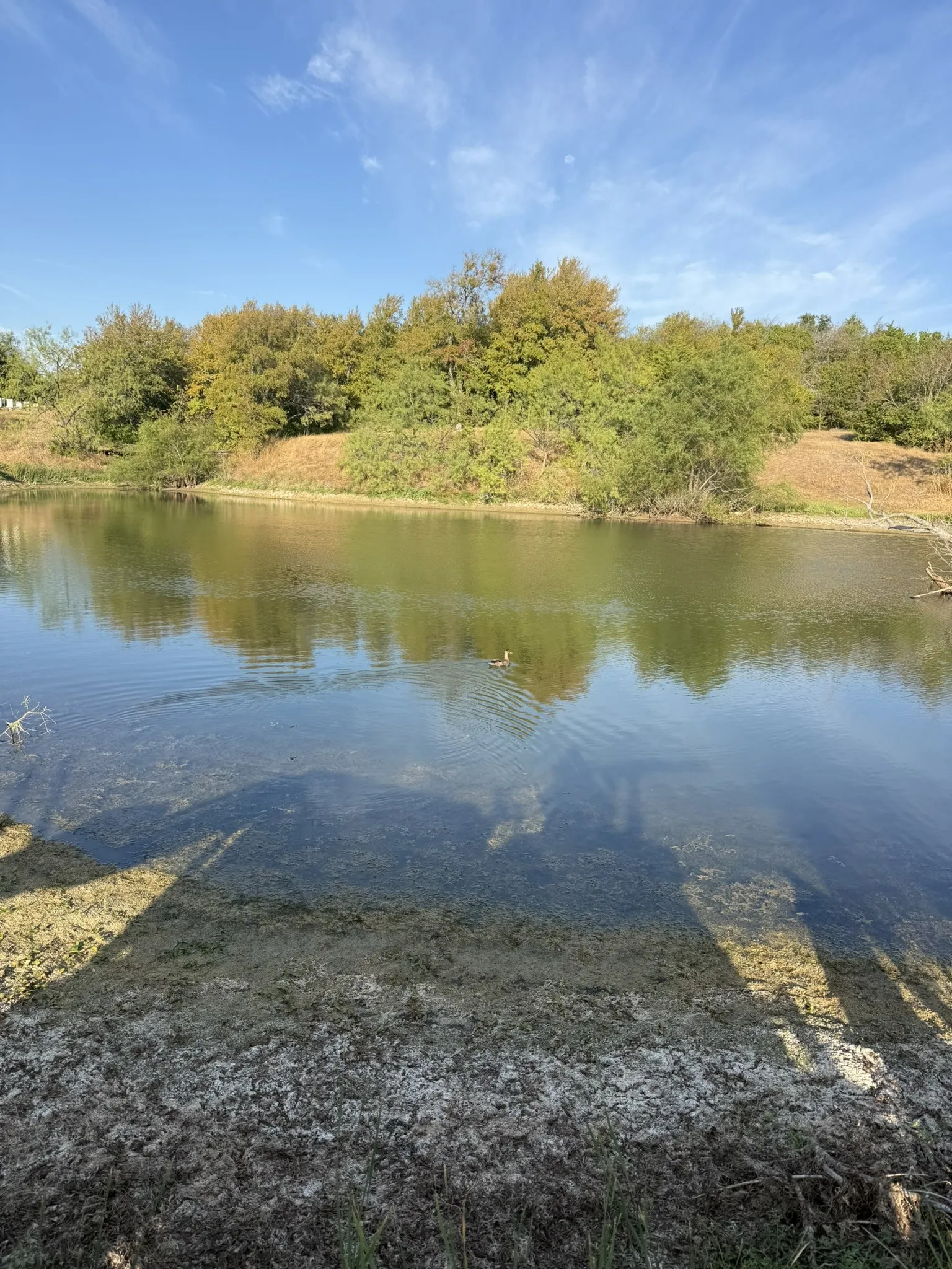 Unimproved Land For Sale in Ellis County , TBD 12 Palmyra, Palmer, Texas 75152, 0, 0, Garage spaces, 0 Sqft, built in 0, mls#21405489, Real Estate Agent in Palmer, Homes For Sale in Ellis county, Homes For Sale in Palmer, Realtor in Palmer Texas, Real Estate Brokerage Independent Realty Texas, Luminita Cordes Realtor