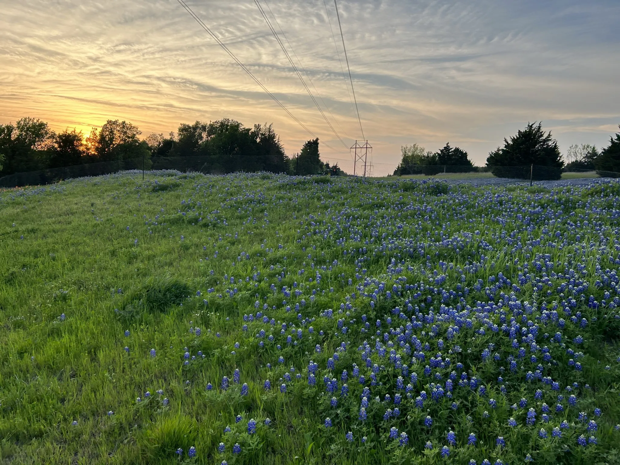 Unimproved Land For Sale in Ellis County , TBD 12 Palmyra, Palmer, Texas 75152, 0, 0, Garage spaces, 0 Sqft, built in 0, mls#21405489, Real Estate Agent in Palmer, Homes For Sale in Ellis county, Homes For Sale in Palmer, Realtor in Palmer Texas, Real Estate Brokerage Independent Realty Texas, Luminita Cordes Realtor