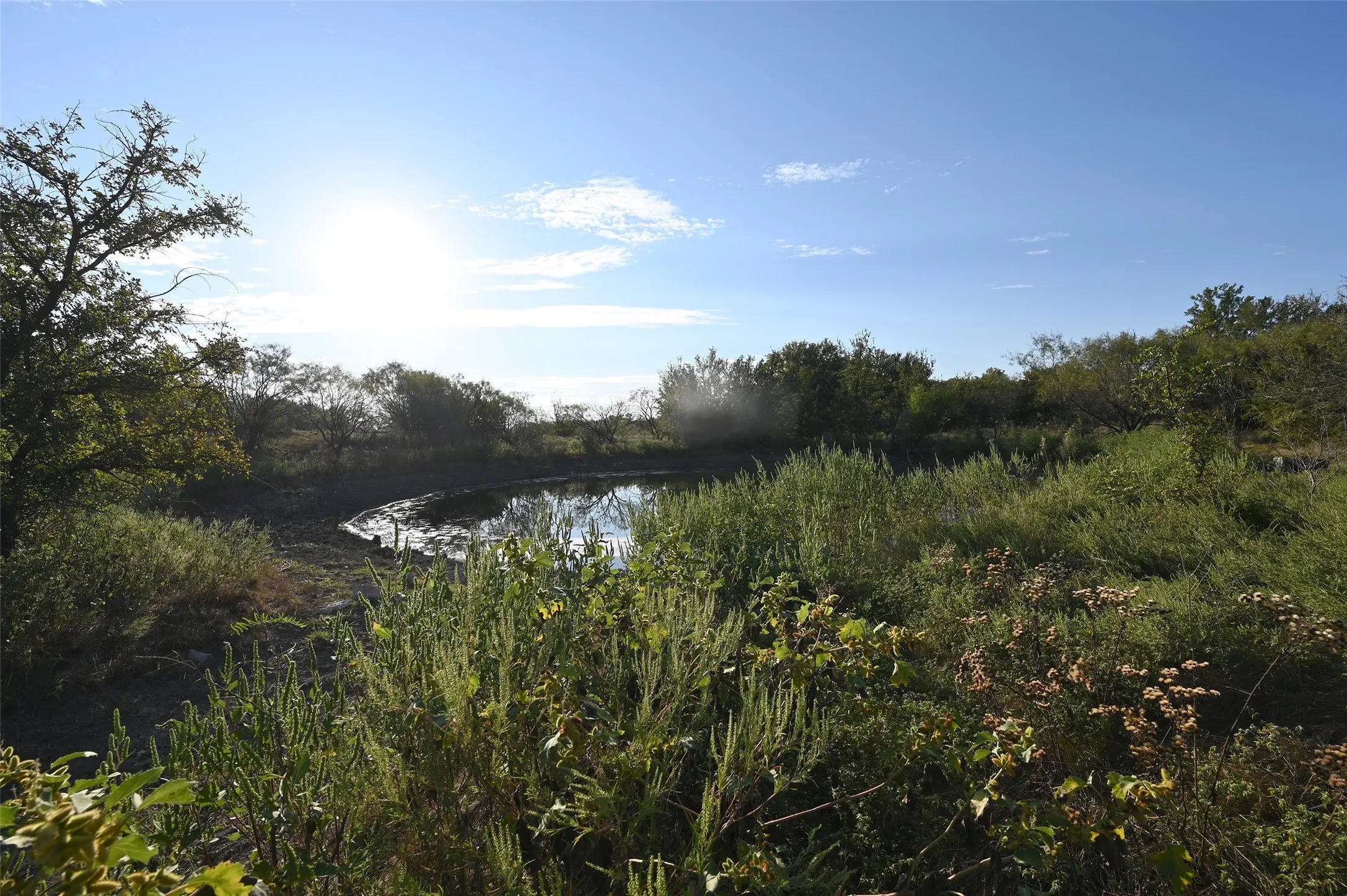 Ranch For Sale in Eastland County , 1811 Highway 570, Eastland, Texas 76448, 0, 0, Garage spaces, 0 Sqft, built in 0, mls#21405511, Real Estate Agent in Eastland, Homes For Sale in Eastland county, Homes For Sale in Eastland, Realtor in Eastland Texas, Real Estate Brokerage Independent Realty Texas, Luminita Cordes Realtor