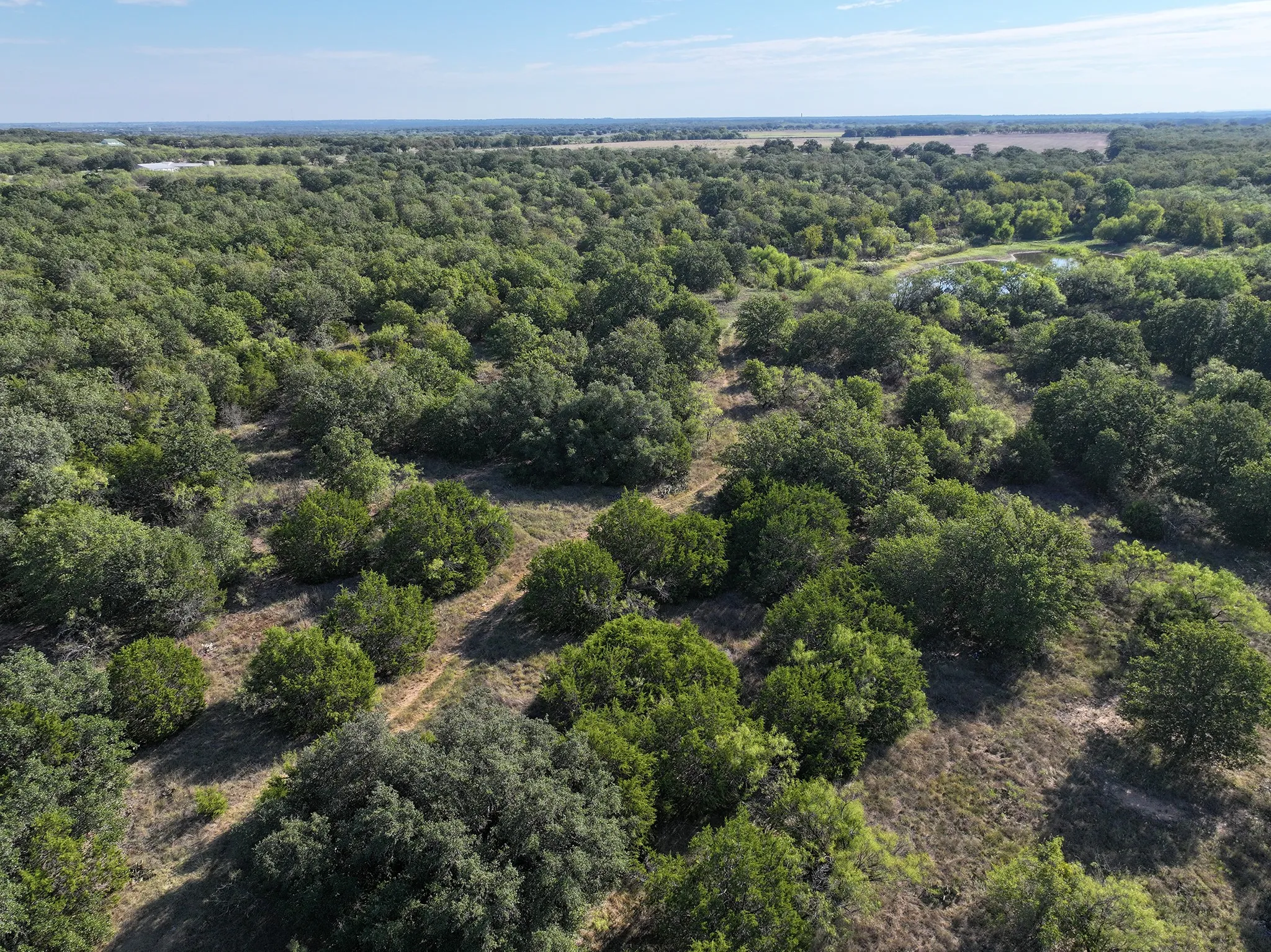 Ranch For Sale in Eastland County , 1811 Highway 570, Eastland, Texas 76448, 0, 0, Garage spaces, 0 Sqft, built in 0, mls#21405511, Real Estate Agent in Eastland, Homes For Sale in Eastland county, Homes For Sale in Eastland, Realtor in Eastland Texas, Real Estate Brokerage Independent Realty Texas, Luminita Cordes Realtor