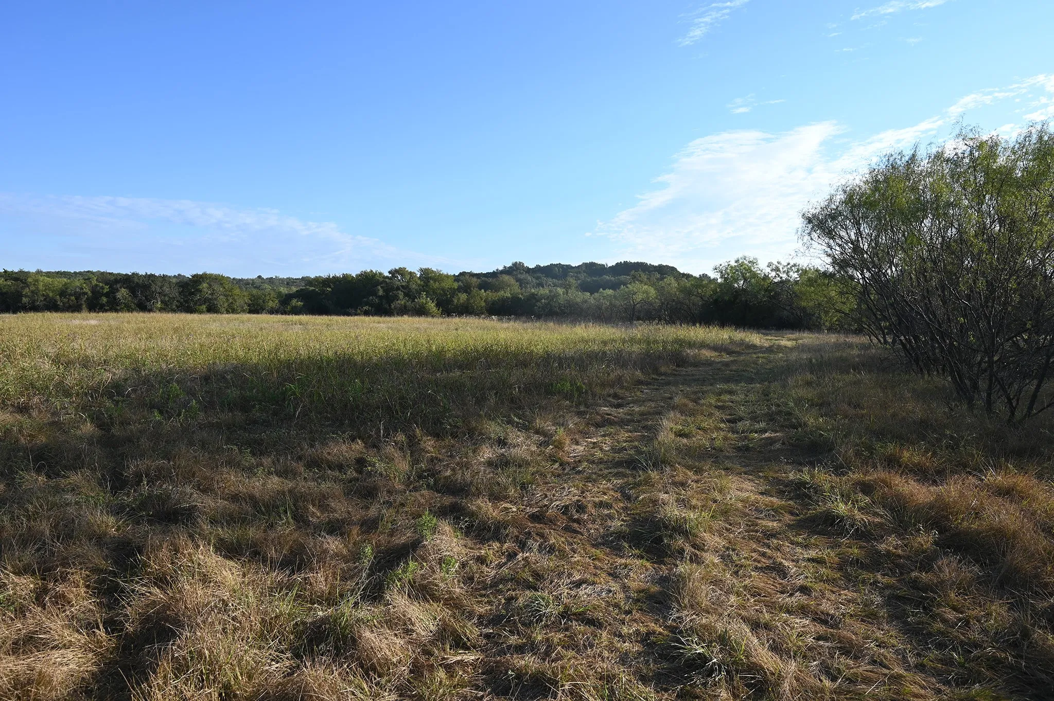 Ranch For Sale in Eastland County , 1811 Highway 570, Eastland, Texas 76448, 0, 0, Garage spaces, 0 Sqft, built in 0, mls#21405511, Real Estate Agent in Eastland, Homes For Sale in Eastland county, Homes For Sale in Eastland, Realtor in Eastland Texas, Real Estate Brokerage Independent Realty Texas, Luminita Cordes Realtor