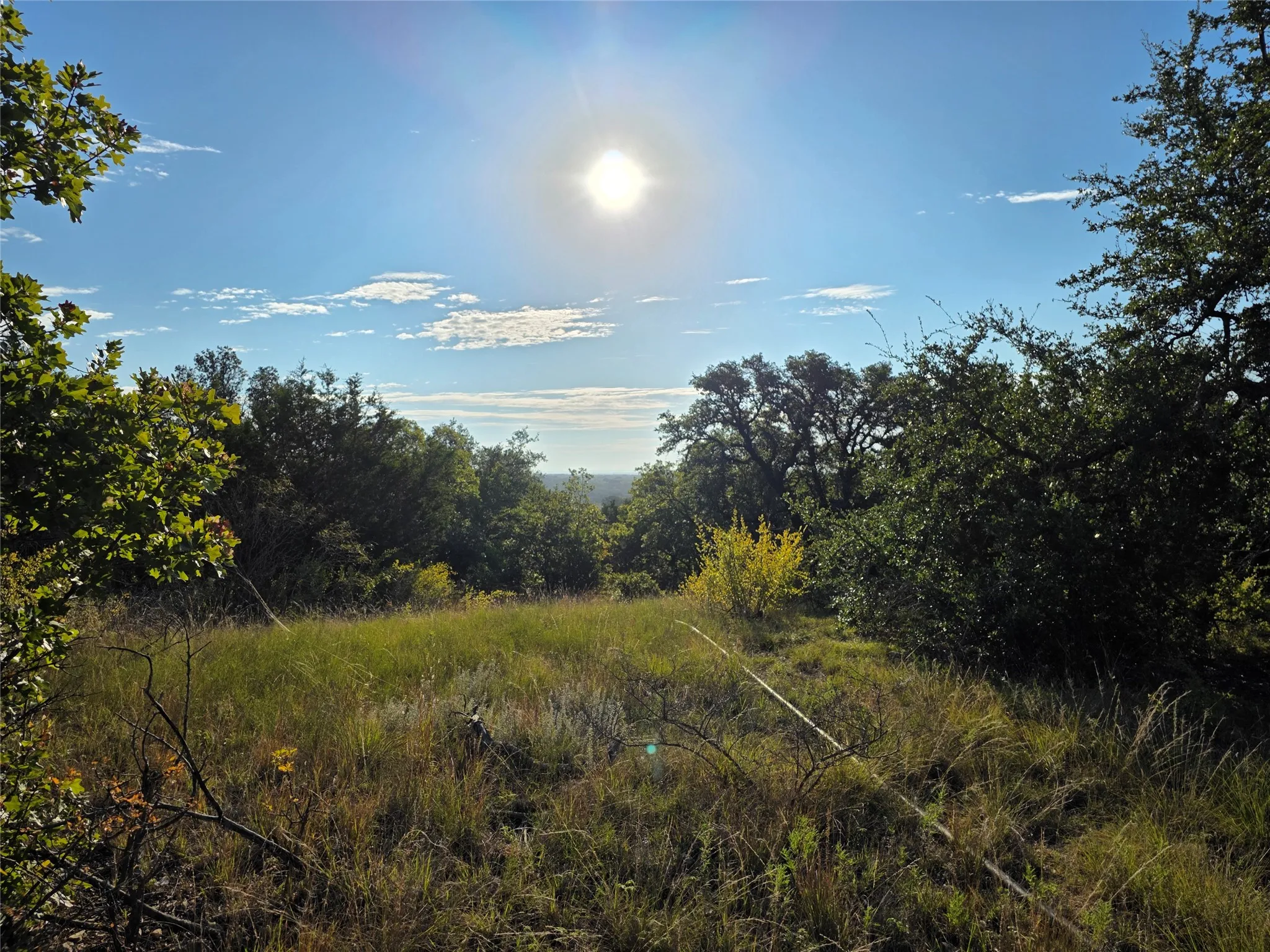 Ranch For Sale in Eastland County , 1811 Highway 570, Eastland, Texas 76448, 0, 0, Garage spaces, 0 Sqft, built in 0, mls#21405511, Real Estate Agent in Eastland, Homes For Sale in Eastland county, Homes For Sale in Eastland, Realtor in Eastland Texas, Real Estate Brokerage Independent Realty Texas, Luminita Cordes Realtor