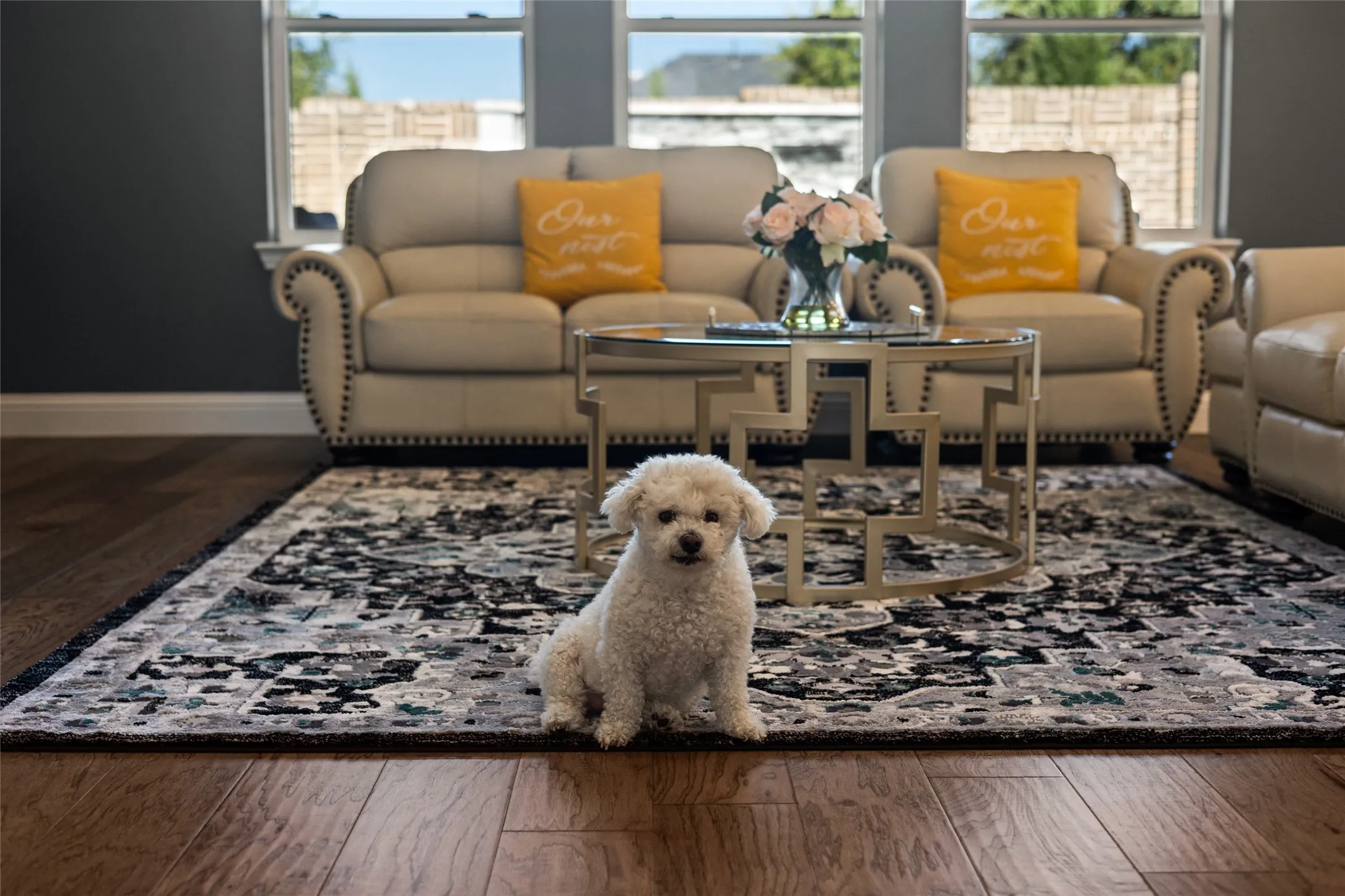 Wood-finish flooring, dark wall paint, and white trim