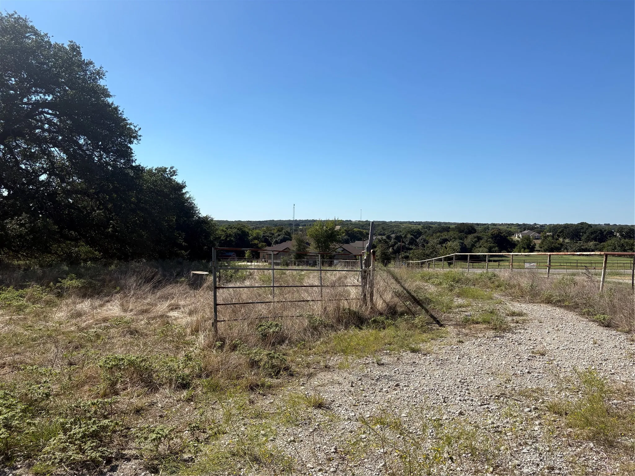 Driveway from the home