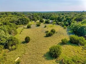 Expansive natural landscape featuring a mix of open grassy areas and dense tree coverage