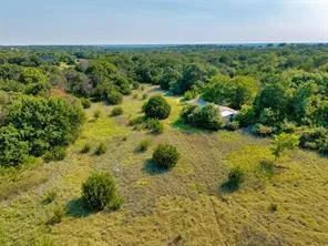 Expansive green space featuring mature trees and varied vegetation