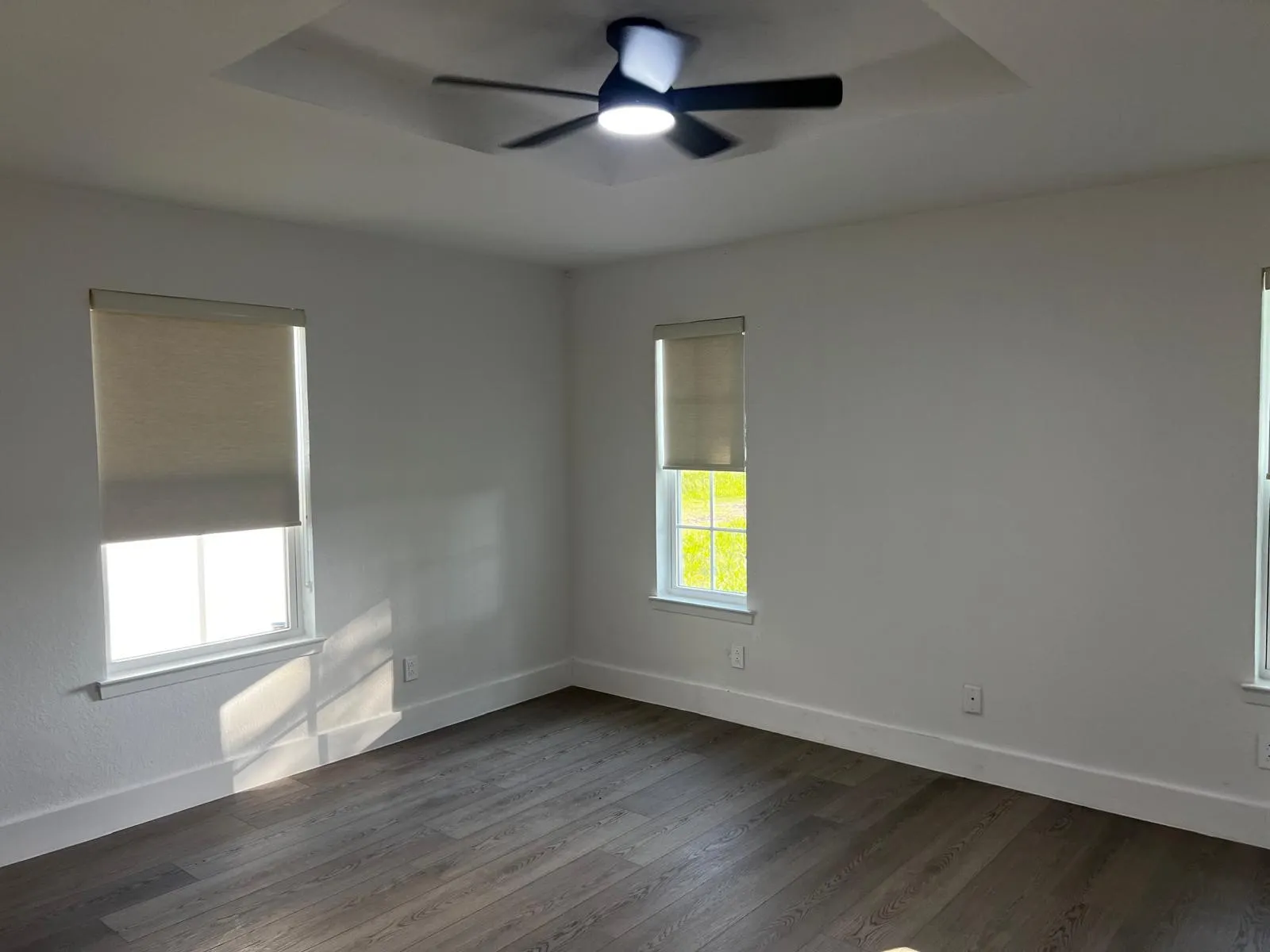 Tray ceiling with a modern ceiling fan, wood-finish flooring, and multiple windows with roller shades
