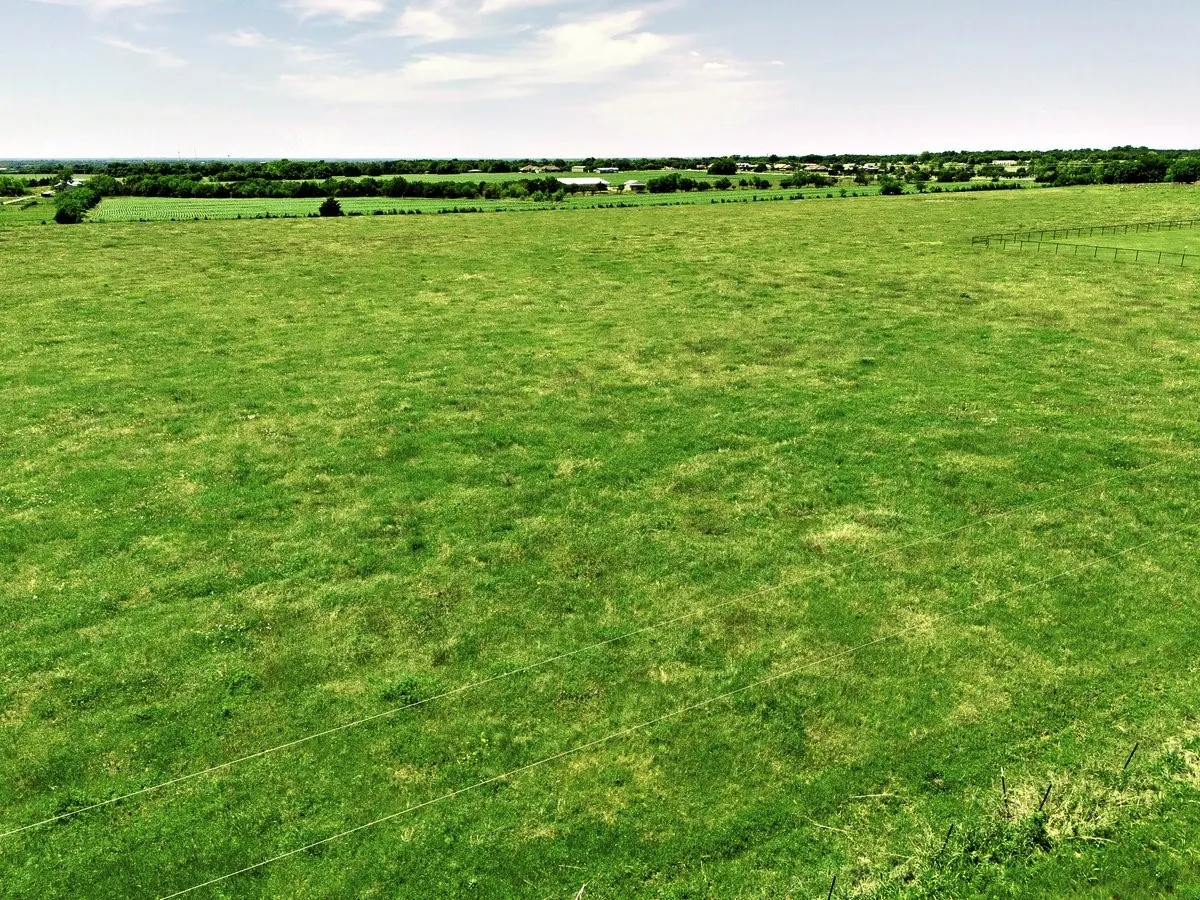 Unimproved Land For Sale in Collin County , 0000 County Road 939, Nevada, Texas 75173, 0, 0, Garage spaces, 0 Sqft, built in 0, mls#21405594, Real Estate Agent in Nevada, Homes For Sale in Collin county, Homes For Sale in Nevada, Realtor in Nevada Texas, Real Estate Brokerage Independent Realty Texas, Luminita Cordes Realtor