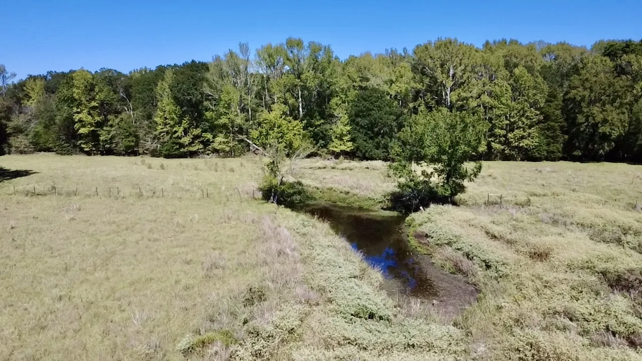Unimproved Land For Sale in Van Zandt County , 000 Vz County Road 2918, Eustace, Texas 75124, 0, 0, Garage spaces, 0 Sqft, built in 1994, mls#21400993, Real Estate Agent in Eustace, Homes For Sale in Van Zandt county, Homes For Sale in Eustace, Realtor in Eustace Texas, Real Estate Brokerage Independent Realty Texas, Luminita Cordes Realtor
