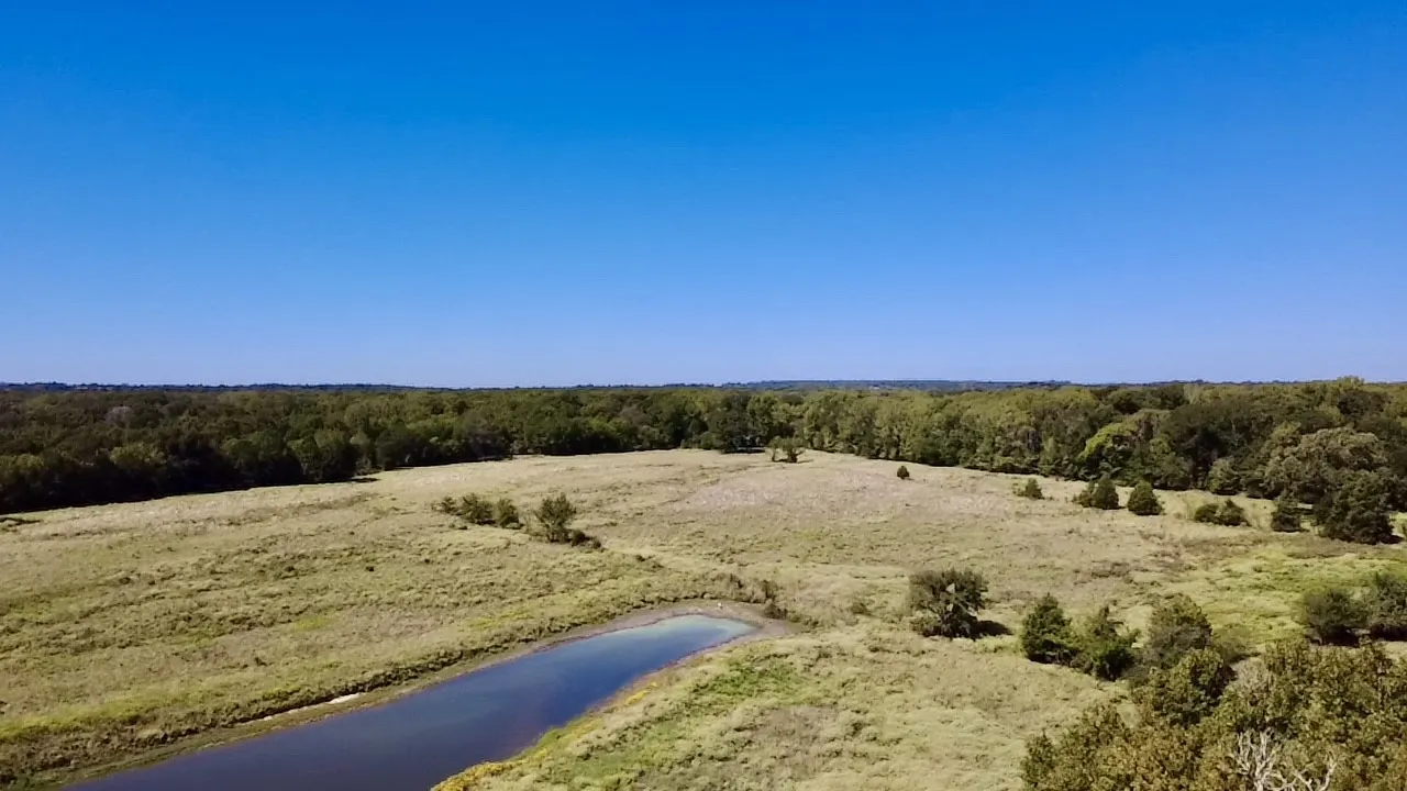 Unimproved Land For Sale in Van Zandt County , 000 Vz County Road 2918, Eustace, Texas 75124, 0, 0, Garage spaces, 0 Sqft, built in 1994, mls#21400993, Real Estate Agent in Eustace, Homes For Sale in Van Zandt county, Homes For Sale in Eustace, Realtor in Eustace Texas, Real Estate Brokerage Independent Realty Texas, Luminita Cordes Realtor