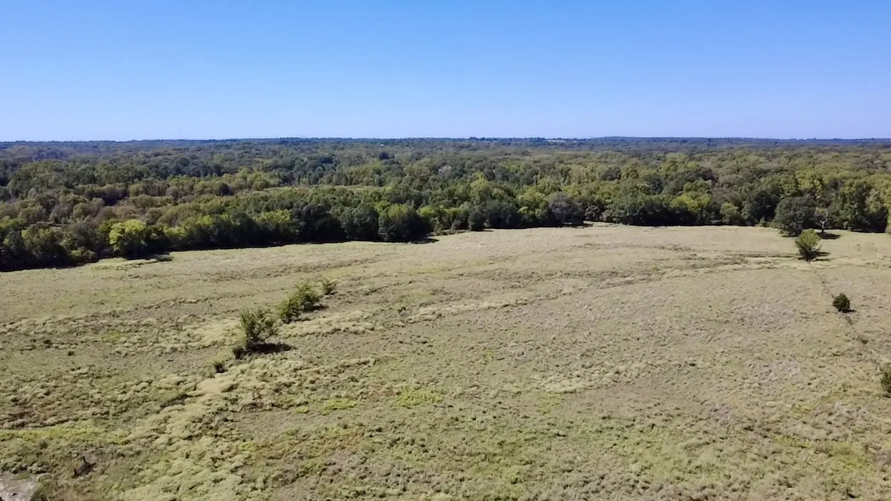 Unimproved Land For Sale in Van Zandt County , 000 Vz County Road 2918, Eustace, Texas 75124, 0, 0, Garage spaces, 0 Sqft, built in 1994, mls#21400993, Real Estate Agent in Eustace, Homes For Sale in Van Zandt county, Homes For Sale in Eustace, Realtor in Eustace Texas, Real Estate Brokerage Independent Realty Texas, Luminita Cordes Realtor