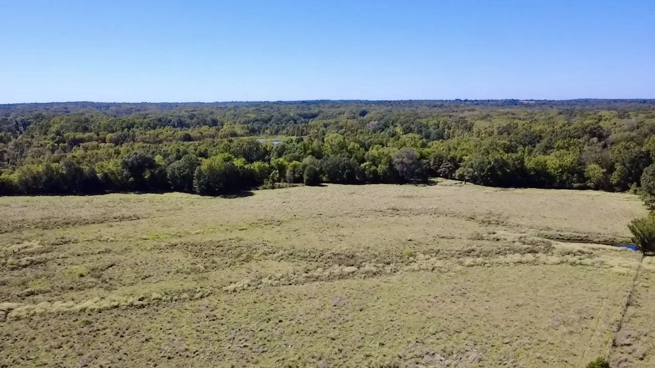 Unimproved Land For Sale in Van Zandt County , 000 Vz County Road 2918, Eustace, Texas 75124, 0, 0, Garage spaces, 0 Sqft, built in 1994, mls#21400993, Real Estate Agent in Eustace, Homes For Sale in Van Zandt county, Homes For Sale in Eustace, Realtor in Eustace Texas, Real Estate Brokerage Independent Realty Texas, Luminita Cordes Realtor