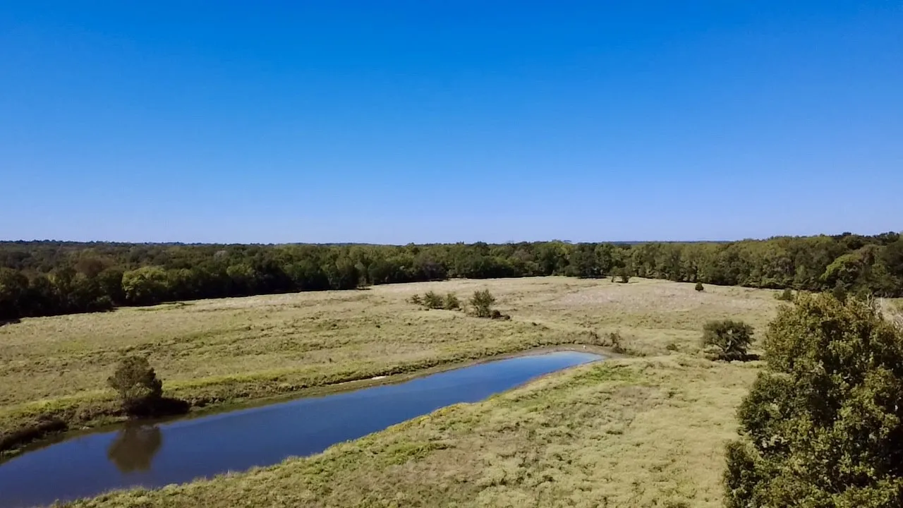 Unimproved Land For Sale in Van Zandt County , 000 Vz County Road 2918, Eustace, Texas 75124, 0, 0, Garage spaces, 0 Sqft, built in 1994, mls#21400993, Real Estate Agent in Eustace, Homes For Sale in Van Zandt county, Homes For Sale in Eustace, Realtor in Eustace Texas, Real Estate Brokerage Independent Realty Texas, Luminita Cordes Realtor