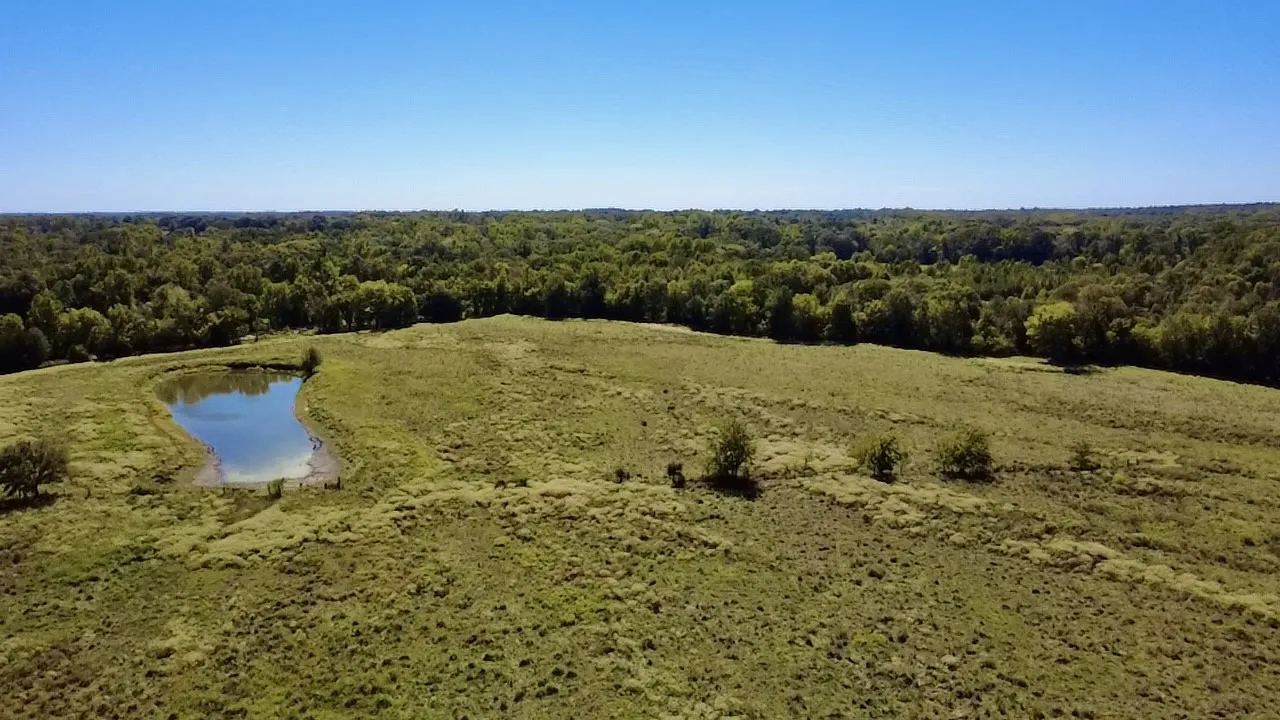 Unimproved Land For Sale in Van Zandt County , 000 Vz County Road 2918, Eustace, Texas 75124, 0, 0, Garage spaces, 0 Sqft, built in 1994, mls#21400993, Real Estate Agent in Eustace, Homes For Sale in Van Zandt county, Homes For Sale in Eustace, Realtor in Eustace Texas, Real Estate Brokerage Independent Realty Texas, Luminita Cordes Realtor