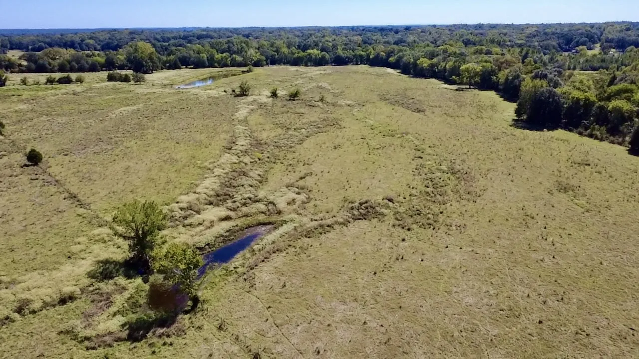 Unimproved Land For Sale in Van Zandt County , 000 Vz County Road 2918, Eustace, Texas 75124, 0, 0, Garage spaces, 0 Sqft, built in 1994, mls#21400993, Real Estate Agent in Eustace, Homes For Sale in Van Zandt county, Homes For Sale in Eustace, Realtor in Eustace Texas, Real Estate Brokerage Independent Realty Texas, Luminita Cordes Realtor