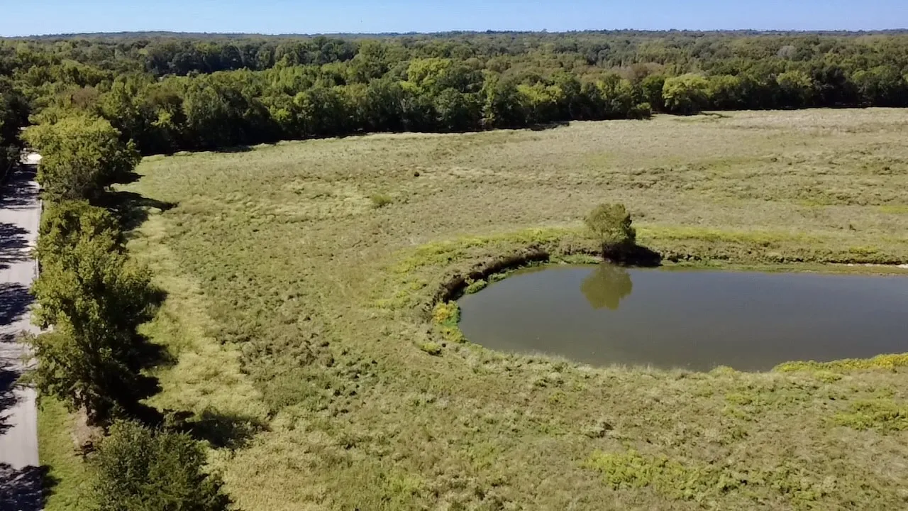 Unimproved Land For Sale in Van Zandt County , 000 Vz County Road 2918, Eustace, Texas 75124, 0, 0, Garage spaces, 0 Sqft, built in 1994, mls#21400993, Real Estate Agent in Eustace, Homes For Sale in Van Zandt county, Homes For Sale in Eustace, Realtor in Eustace Texas, Real Estate Brokerage Independent Realty Texas, Luminita Cordes Realtor