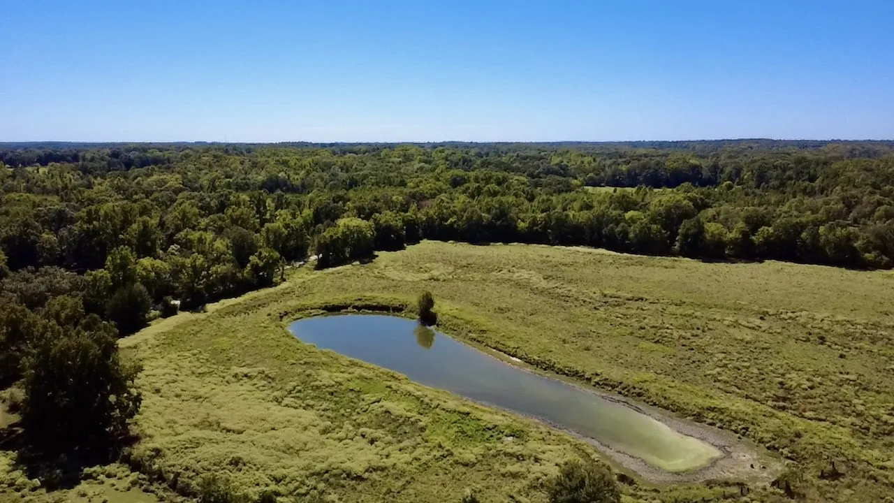 Unimproved Land For Sale in Van Zandt County , 000 Vz County Road 2918, Eustace, Texas 75124, 0, 0, Garage spaces, 0 Sqft, built in 1994, mls#21400993, Real Estate Agent in Eustace, Homes For Sale in Van Zandt county, Homes For Sale in Eustace, Realtor in Eustace Texas, Real Estate Brokerage Independent Realty Texas, Luminita Cordes Realtor