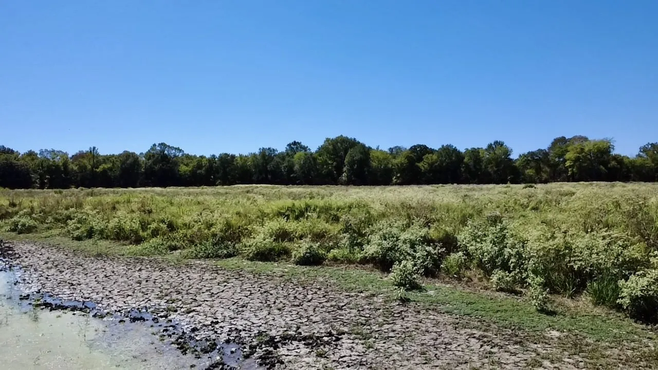 Unimproved Land For Sale in Van Zandt County , 000 Vz County Road 2918, Eustace, Texas 75124, 0, 0, Garage spaces, 0 Sqft, built in 1994, mls#21400993, Real Estate Agent in Eustace, Homes For Sale in Van Zandt county, Homes For Sale in Eustace, Realtor in Eustace Texas, Real Estate Brokerage Independent Realty Texas, Luminita Cordes Realtor