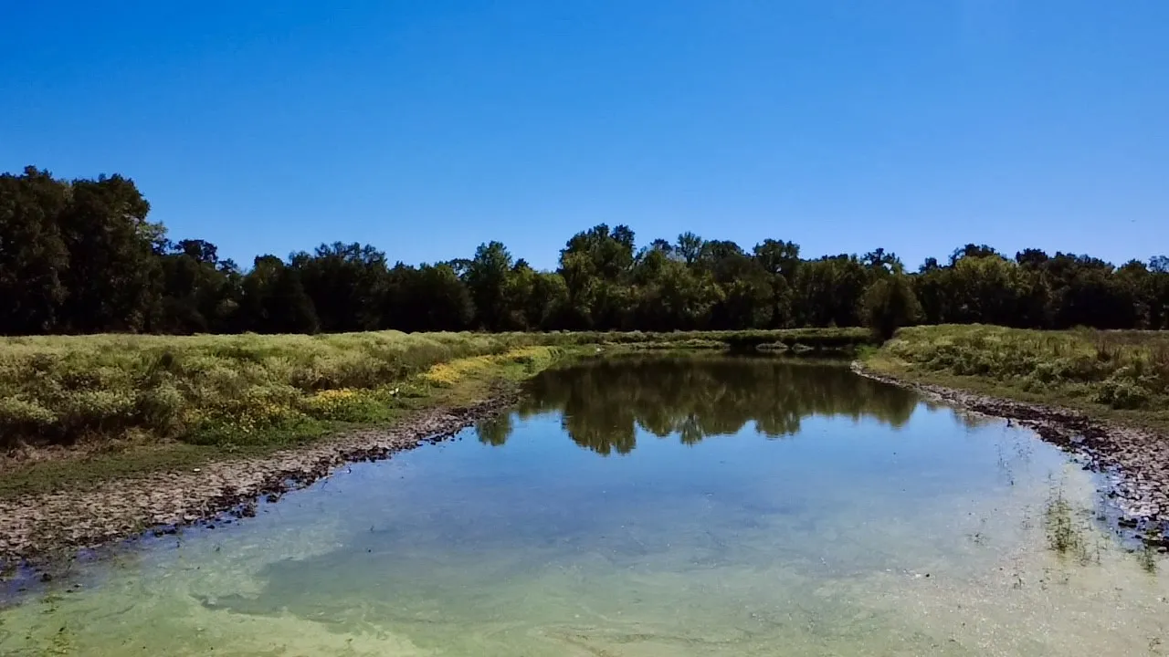 Unimproved Land For Sale in Van Zandt County , 000 Vz County Road 2918, Eustace, Texas 75124, 0, 0, Garage spaces, 0 Sqft, built in 1994, mls#21400993, Real Estate Agent in Eustace, Homes For Sale in Van Zandt county, Homes For Sale in Eustace, Realtor in Eustace Texas, Real Estate Brokerage Independent Realty Texas, Luminita Cordes Realtor