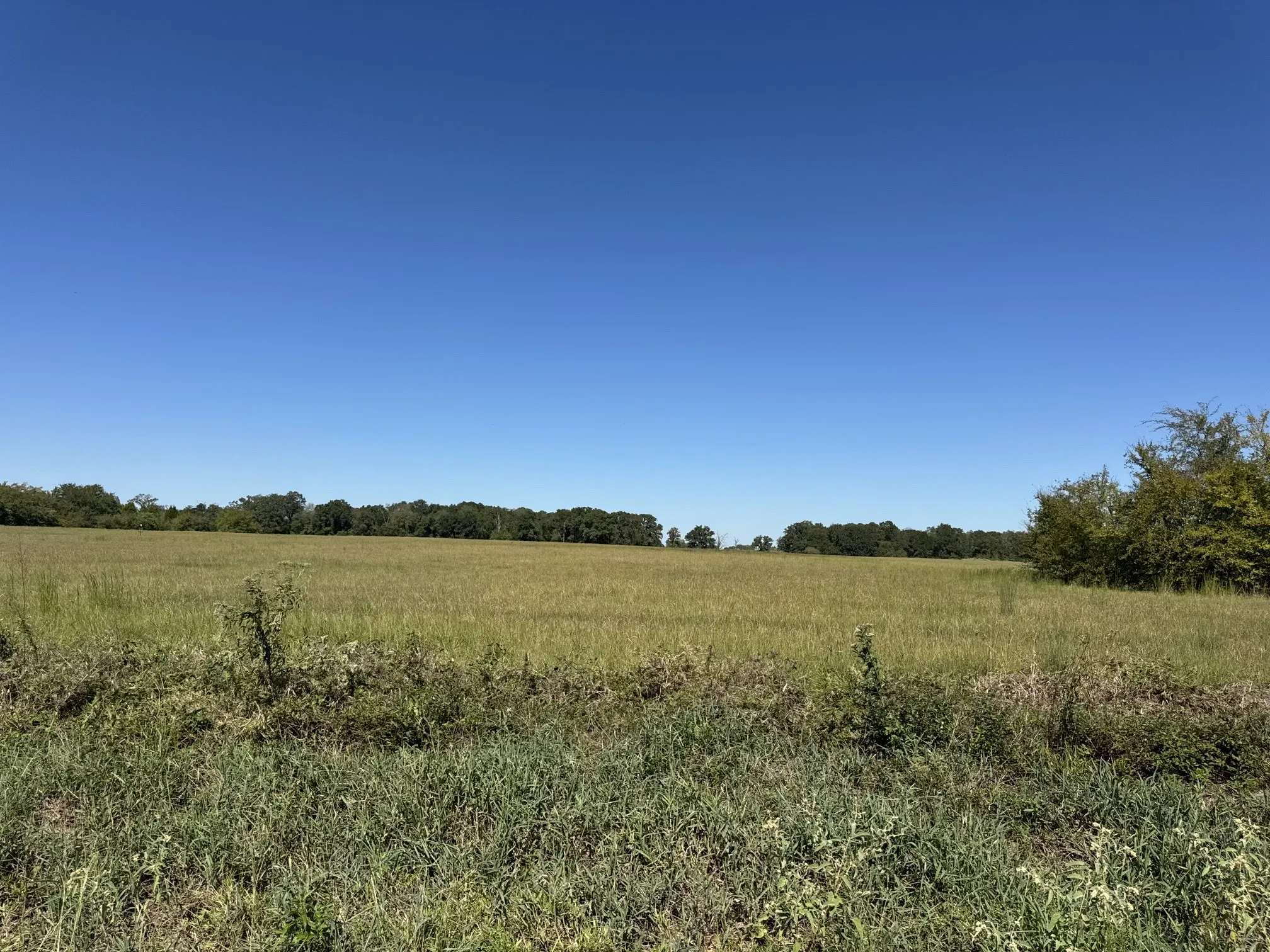 Lot 9