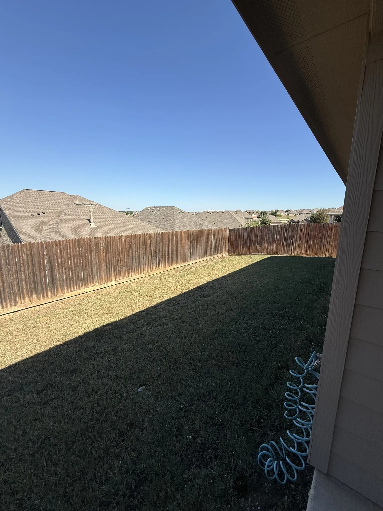Back yard