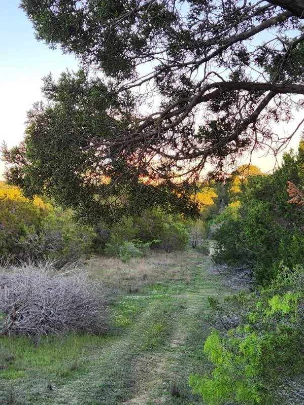 Unimproved Land For Sale in Somervell County , 2516 County Road 328, Glen Rose, Texas 76043, 0, 0, Garage spaces, 0 Sqft, built in 0, mls#21405649, Real Estate Agent in Glen Rose, Homes For Sale in Somervell county, Homes For Sale in Glen Rose, Realtor in Glen Rose Texas, Real Estate Brokerage Independent Realty Texas, Luminita Cordes Realtor