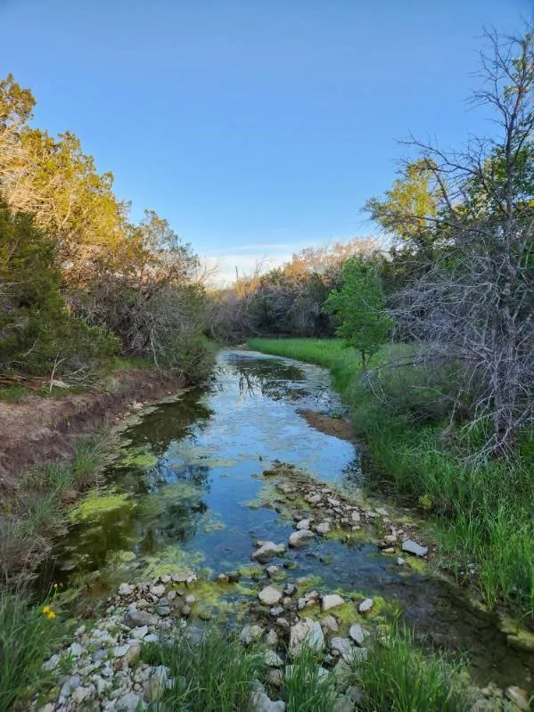 Unimproved Land For Sale in Somervell County , 2516 County Road 328, Glen Rose, Texas 76043, 0, 0, Garage spaces, 0 Sqft, built in 0, mls#21405649, Real Estate Agent in Glen Rose, Homes For Sale in Somervell county, Homes For Sale in Glen Rose, Realtor in Glen Rose Texas, Real Estate Brokerage Independent Realty Texas, Luminita Cordes Realtor