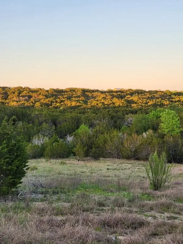 Unimproved Land For Sale in Somervell County , 2516 County Road 328, Glen Rose, Texas 76043, 0, 0, Garage spaces, 0 Sqft, built in 0, mls#21405649, Real Estate Agent in Glen Rose, Homes For Sale in Somervell county, Homes For Sale in Glen Rose, Realtor in Glen Rose Texas, Real Estate Brokerage Independent Realty Texas, Luminita Cordes Realtor