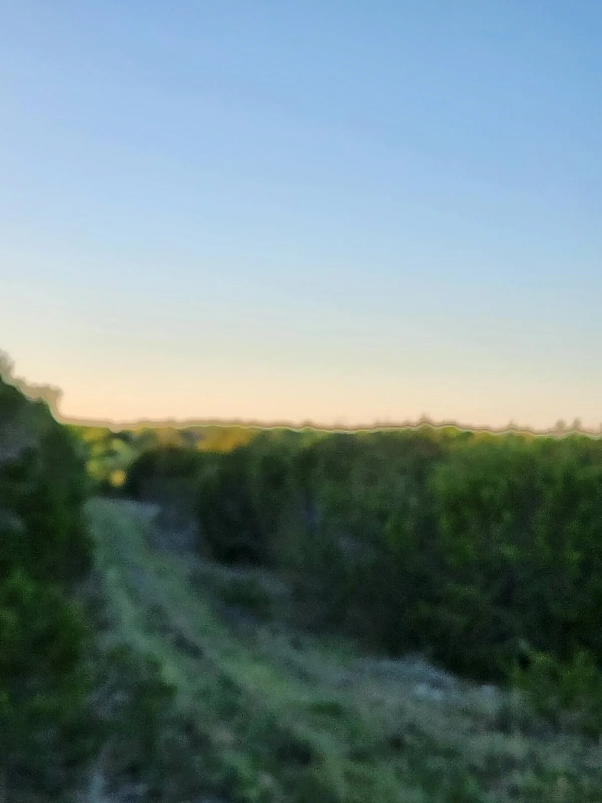 Unimproved Land For Sale in Somervell County , 2516 County Road 328, Glen Rose, Texas 76043, 0, 0, Garage spaces, 0 Sqft, built in 0, mls#21405649, Real Estate Agent in Glen Rose, Homes For Sale in Somervell county, Homes For Sale in Glen Rose, Realtor in Glen Rose Texas, Real Estate Brokerage Independent Realty Texas, Luminita Cordes Realtor