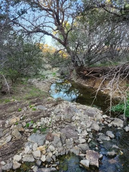 Unimproved Land For Sale in Somervell County , 2516 County Road 328, Glen Rose, Texas 76043, 0, 0, Garage spaces, 0 Sqft, built in 0, mls#21405649, Real Estate Agent in Glen Rose, Homes For Sale in Somervell county, Homes For Sale in Glen Rose, Realtor in Glen Rose Texas, Real Estate Brokerage Independent Realty Texas, Luminita Cordes Realtor