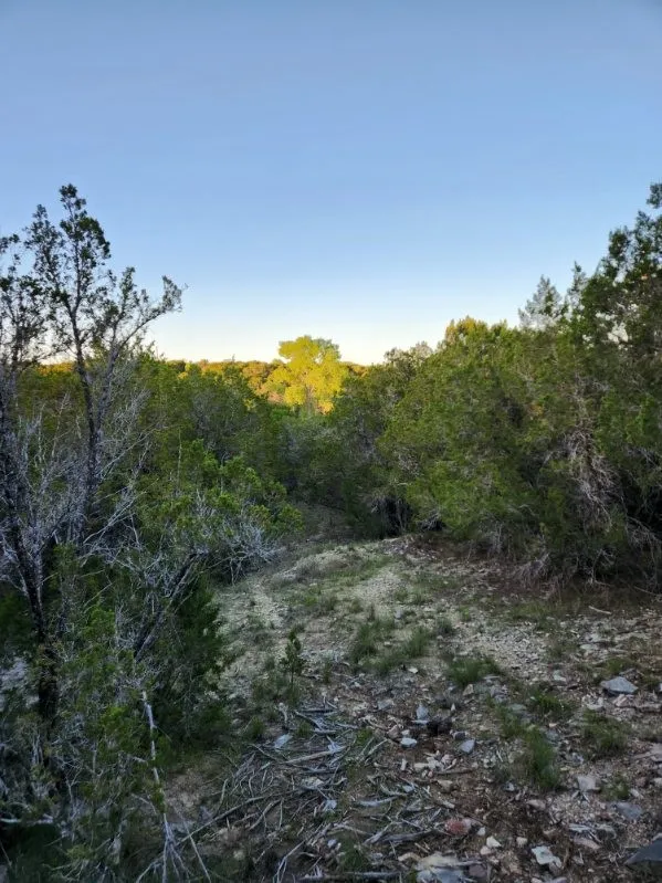 Unimproved Land For Sale in Somervell County , 2516 County Road 328, Glen Rose, Texas 76043, 0, 0, Garage spaces, 0 Sqft, built in 0, mls#21405649, Real Estate Agent in Glen Rose, Homes For Sale in Somervell county, Homes For Sale in Glen Rose, Realtor in Glen Rose Texas, Real Estate Brokerage Independent Realty Texas, Luminita Cordes Realtor