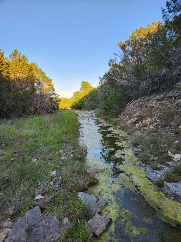 Unimproved Land For Sale in Somervell County , 2516 County Road 328, Glen Rose, Texas 76043, 0, 0, Garage spaces, 0 Sqft, built in 0, mls#21405649, Real Estate Agent in Glen Rose, Homes For Sale in Somervell county, Homes For Sale in Glen Rose, Realtor in Glen Rose Texas, Real Estate Brokerage Independent Realty Texas, Luminita Cordes Realtor