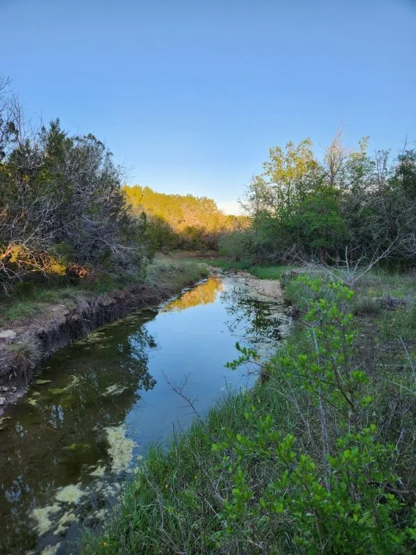 Unimproved Land For Sale in Somervell County , 2516 County Road 328, Glen Rose, Texas 76043, 0, 0, Garage spaces, 0 Sqft, built in 0, mls#21405649, Real Estate Agent in Glen Rose, Homes For Sale in Somervell county, Homes For Sale in Glen Rose, Realtor in Glen Rose Texas, Real Estate Brokerage Independent Realty Texas, Luminita Cordes Realtor