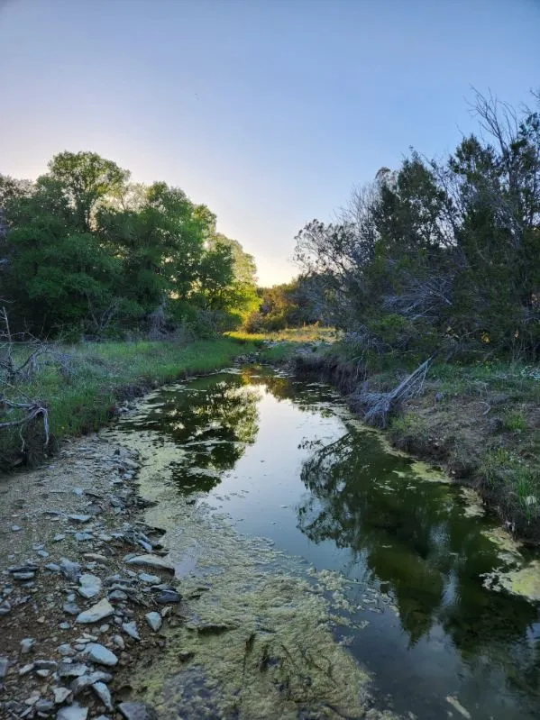 Unimproved Land For Sale in Somervell County , 2516 County Road 328, Glen Rose, Texas 76043, 0, 0, Garage spaces, 0 Sqft, built in 0, mls#21405649, Real Estate Agent in Glen Rose, Homes For Sale in Somervell county, Homes For Sale in Glen Rose, Realtor in Glen Rose Texas, Real Estate Brokerage Independent Realty Texas, Luminita Cordes Realtor