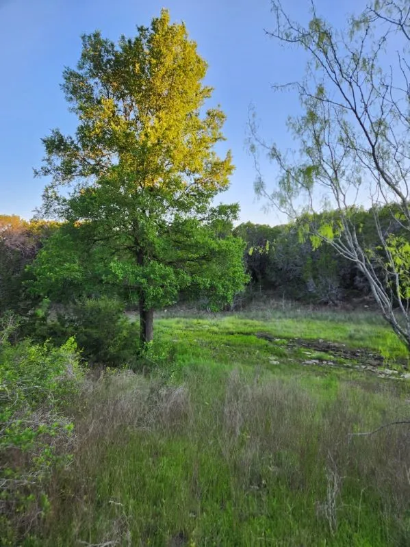 Unimproved Land For Sale in Somervell County , 2516 County Road 328, Glen Rose, Texas 76043, 0, 0, Garage spaces, 0 Sqft, built in 0, mls#21405649, Real Estate Agent in Glen Rose, Homes For Sale in Somervell county, Homes For Sale in Glen Rose, Realtor in Glen Rose Texas, Real Estate Brokerage Independent Realty Texas, Luminita Cordes Realtor