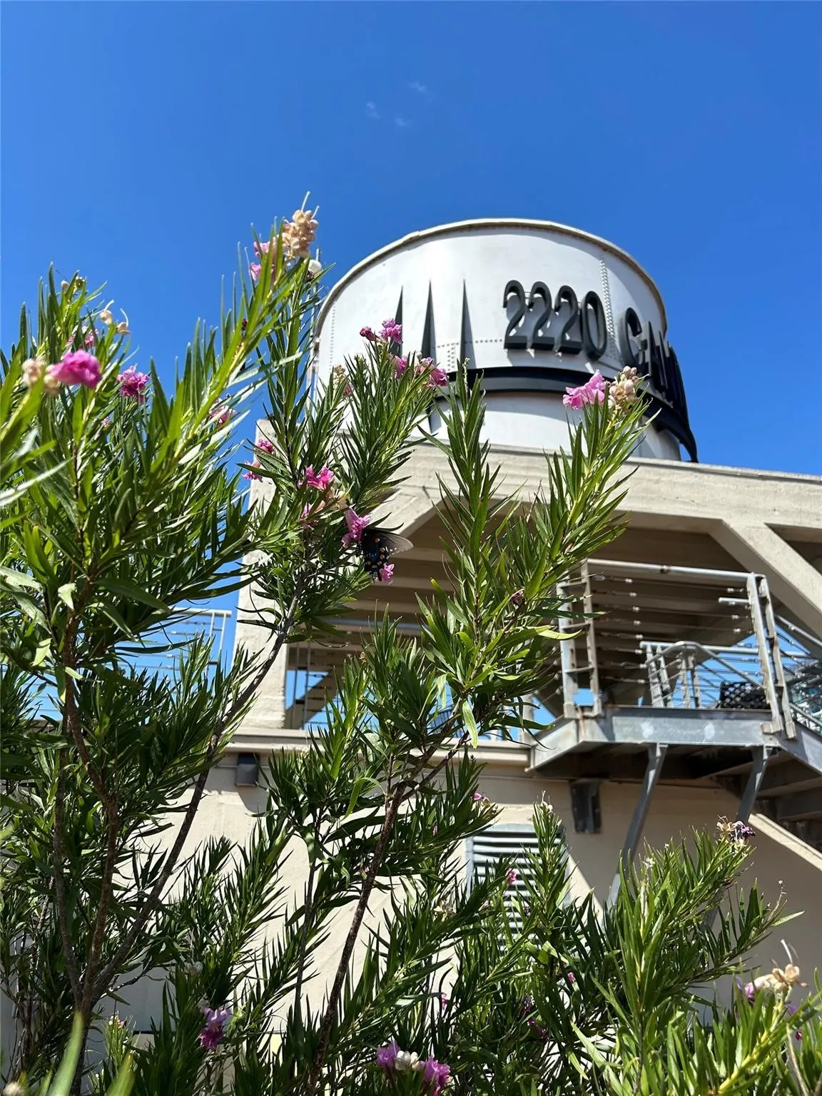 Condominium For Rent in Dallas County , 2220 Canton Street 406, Dallas, Texas 75201, 1 Bedroom, 1 Bathroom, 1 Garage spaces, 1,448 Sqft, built in 1925, mls#21405626, Real Estate Agent in Dallas, Homes For Rent in Dallas county, Homes For Rent in Dallas, Realtor in Dallas Texas, Real Estate Brokerage Independent Realty Texas, Luminita Cordes Realtor