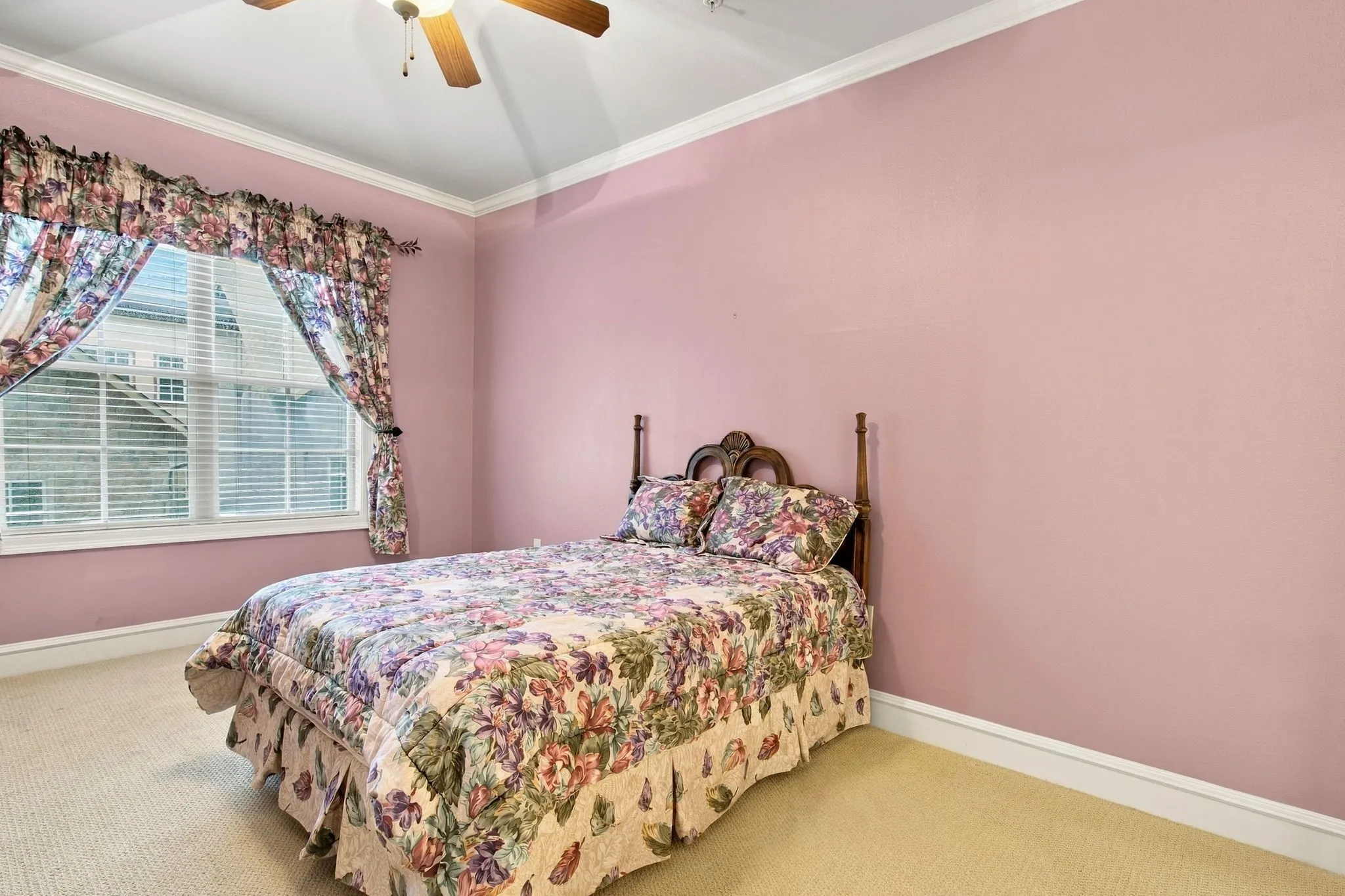 Window with blinds, ceiling fan, crown molding, and carpeted flooring