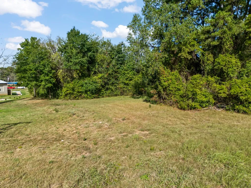 Expansive lot with mature trees and natural foliage