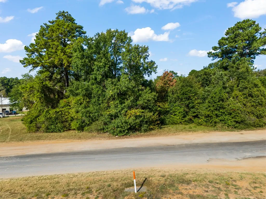 Road frontage with mature trees and natural landscaping