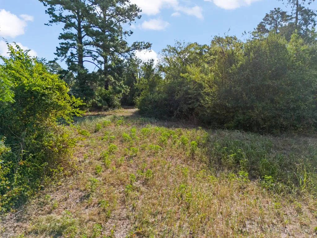 Open land with natural vegetation and mature trees