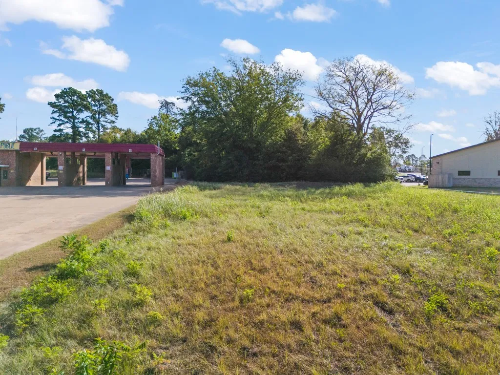 Expansive undeveloped lot with natural vegetation