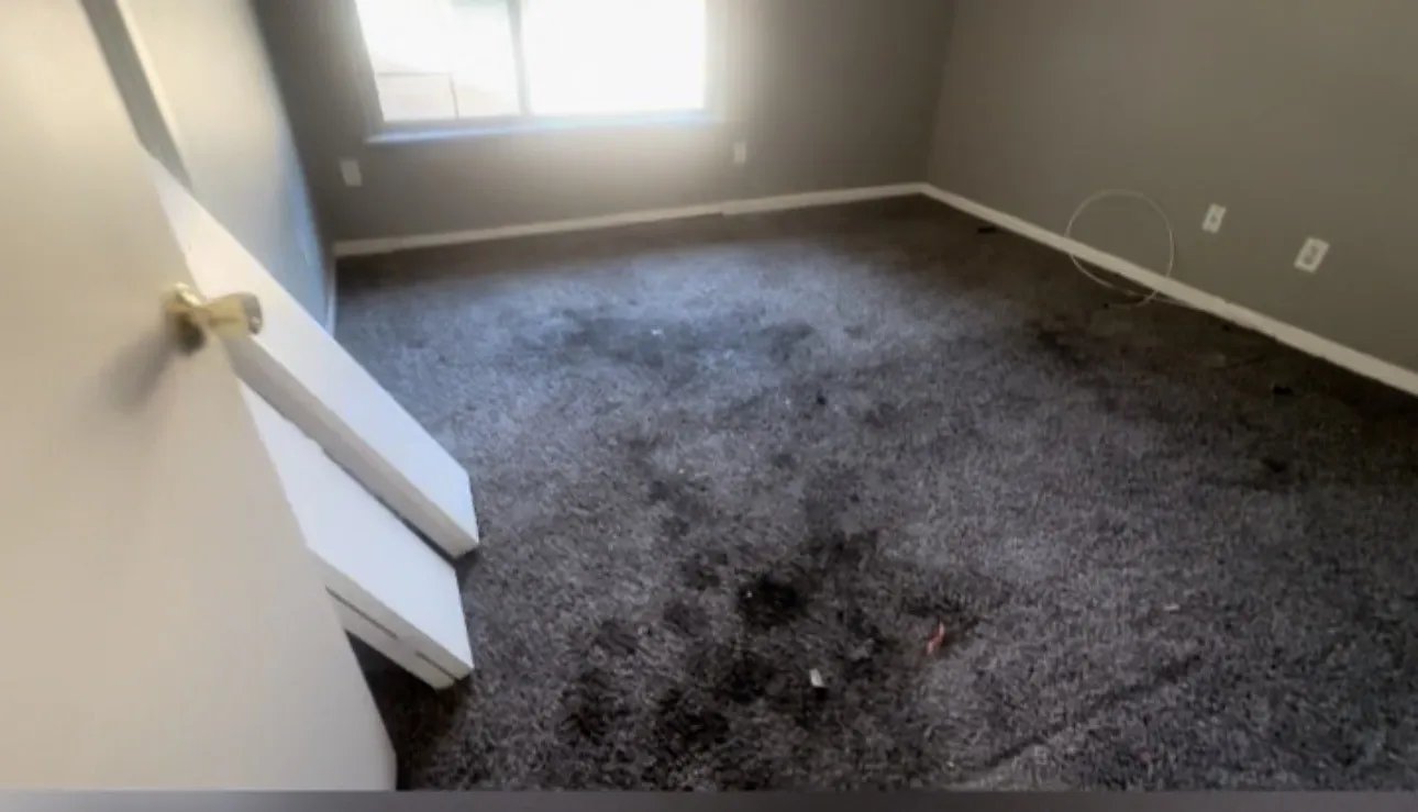 Single Family Residence For Sale in Tarrant County , 6208 Winifred Drive, Fort Worth, Texas 76133, 6 Bedroom, 4 Bathroom, Garage spaces, 2,795 Sqft, built in 1966, mls#21405742, Real Estate Agent in Fort Worth, Homes For Sale in Tarrant county, Homes For Sale in Fort Worth, Realtor in Fort Worth Texas, Real Estate Brokerage Independent Realty Texas, Luminita Cordes Realtor
