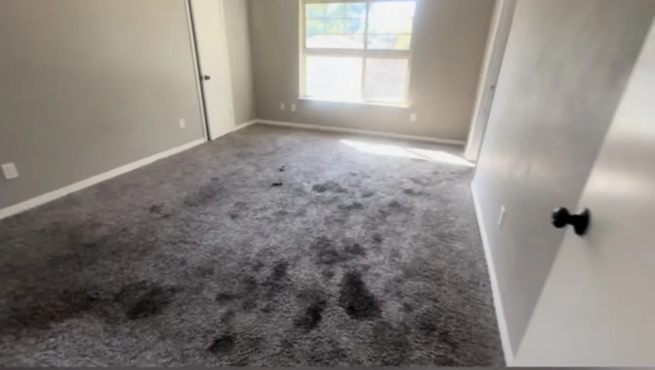 Single Family Residence For Sale in Tarrant County , 6208 Winifred Drive, Fort Worth, Texas 76133, 6 Bedroom, 4 Bathroom, Garage spaces, 2,795 Sqft, built in 1966, mls#21405742, Real Estate Agent in Fort Worth, Homes For Sale in Tarrant county, Homes For Sale in Fort Worth, Realtor in Fort Worth Texas, Real Estate Brokerage Independent Realty Texas, Luminita Cordes Realtor
